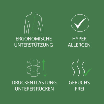 Ergonomisches Rückenkissen mit Memory-Foam