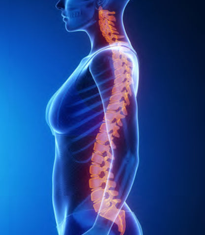 Ergonomisches Rückenkissen mit Memory-Foam