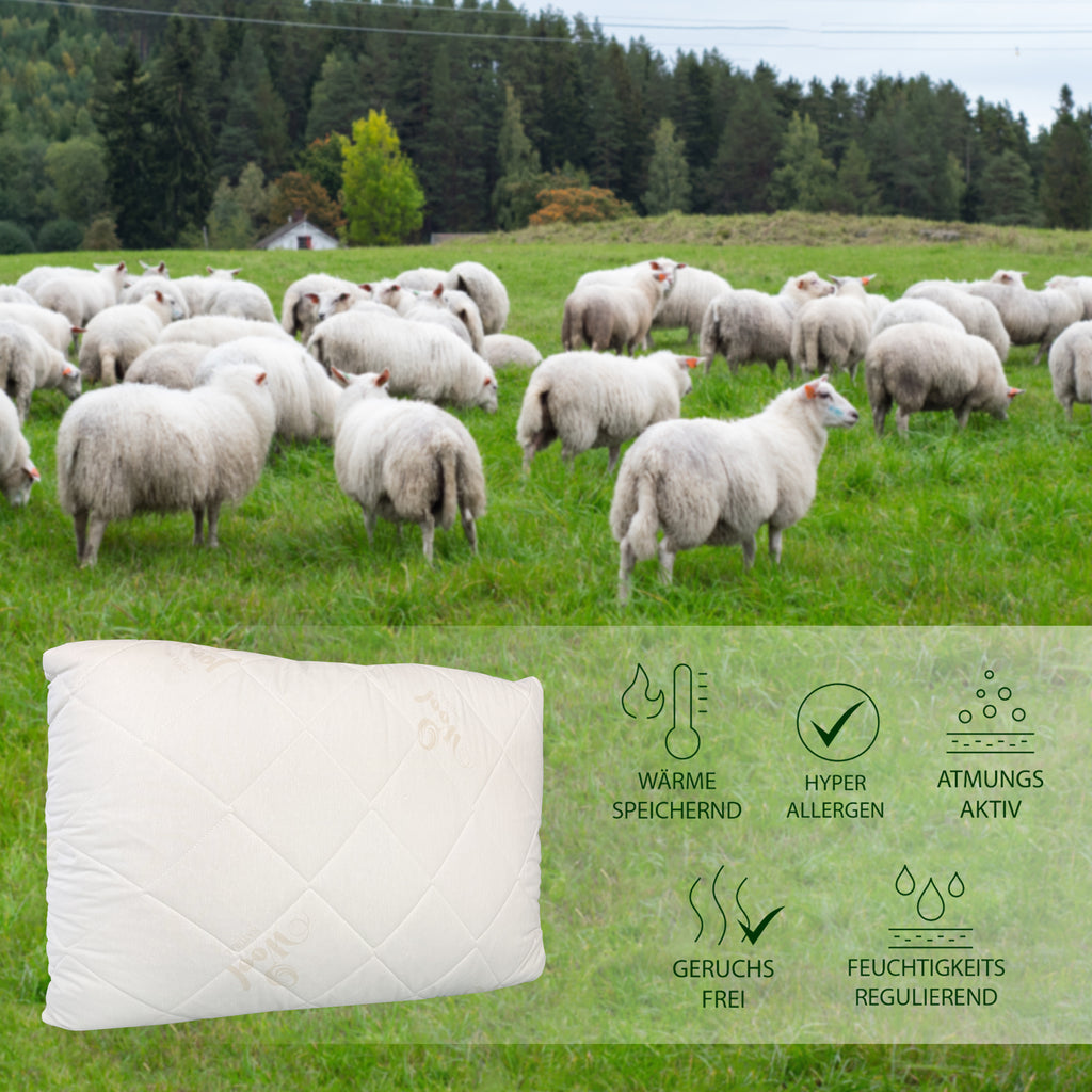Premium Perle Schafschurwolle Kissen – Natürlich, Atmungsaktiv & Temperaturregulierend