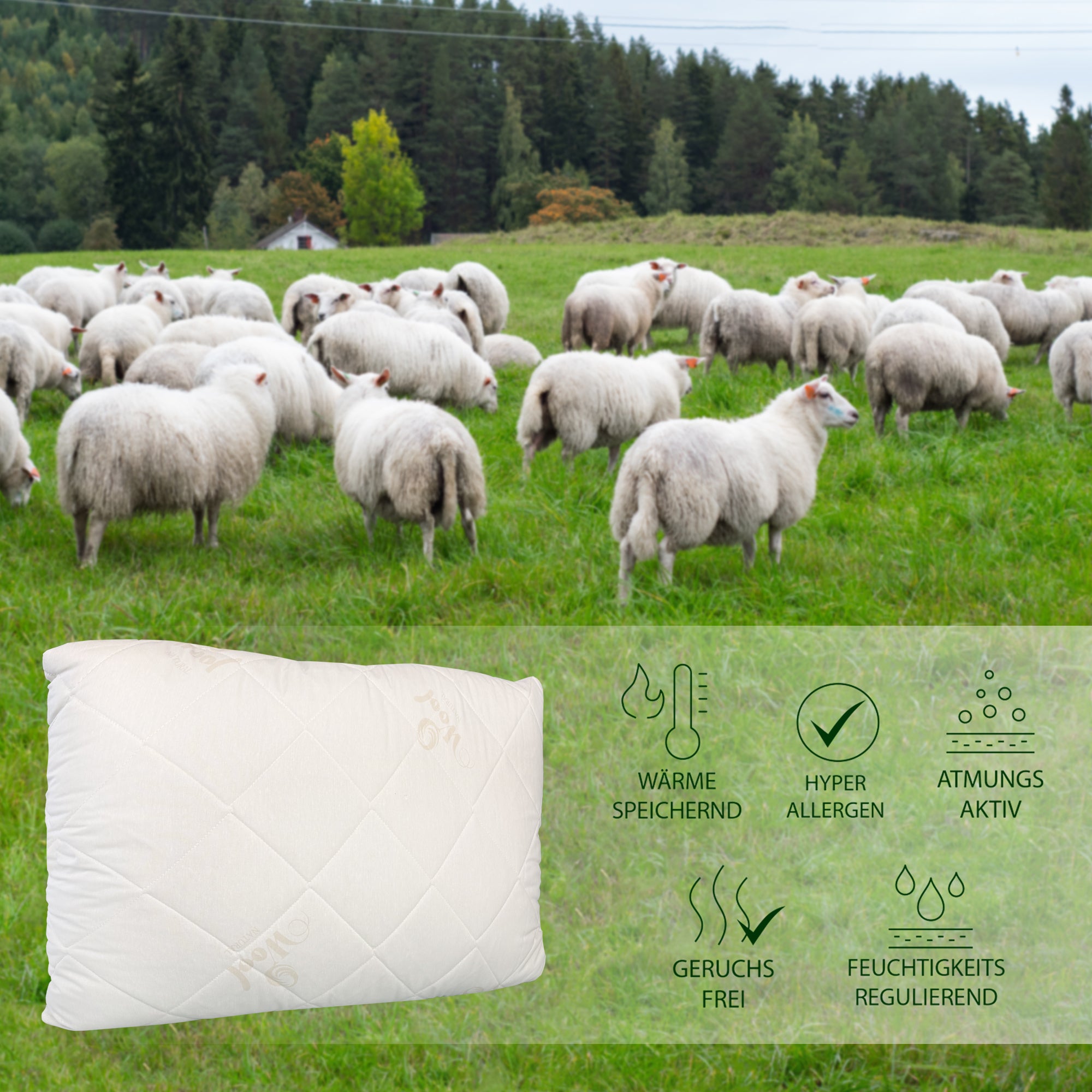 Premium Perle Schafschurwolle Kissen – Natürlich, Atmungsaktiv & Temperaturregulierend