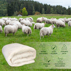 Premium Schafschurwolle Steppbettdecke – Natürlich & Atmungsaktiv