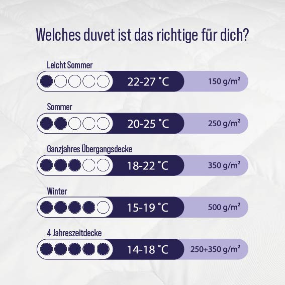 Mono Premium Microfaser Steppdecke