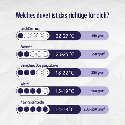 Mono Premium Microfaser Steppdecke - Ganzjähriger Schlafkomfort
